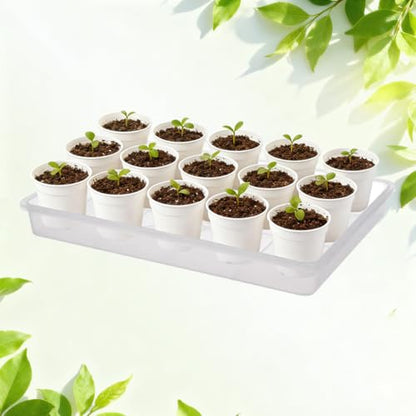 3 Pack Plastic Bonsai Humidity Trays, Rectangle Plant Growing Saucer Water Catcher Drip Tray, Seed Starter Drainage Tray Transparent (11.5x8.3 Inch)