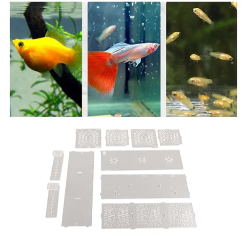Fish Breeding Box, Acrylic Transparent Fish Breeding Isolation Box Aquarium Hatchery Incubator Holder Fish Separation Breeder Box, with Hook and Sucker Design (30CM*10CM*10CM)