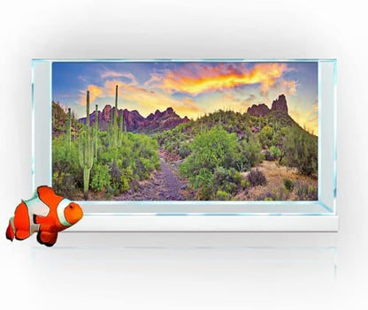 Reptile Habitat Background Rock Blue Sky Oasis Cactus Sunset Desert Terrarium Background 48X24IN with 8 EVA Double-Sided Tape - size: 48X24in/120X60cm