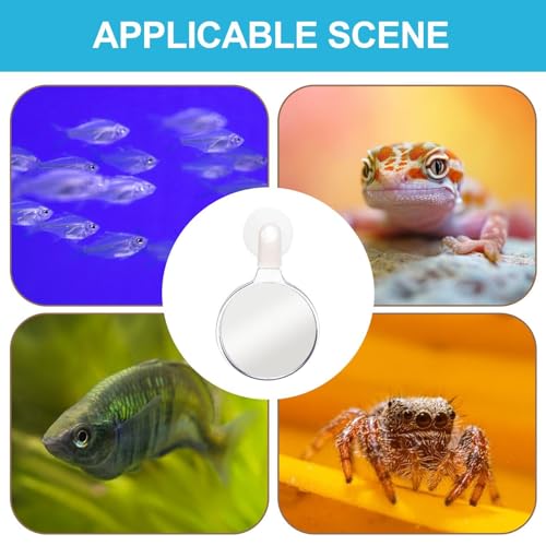 Aquarium Magnifying Glass - Magnifying Glass with Suction Cup | Animal Plant Observation Fish Tank Viewer for Viewing Coral and Taking Pictures
