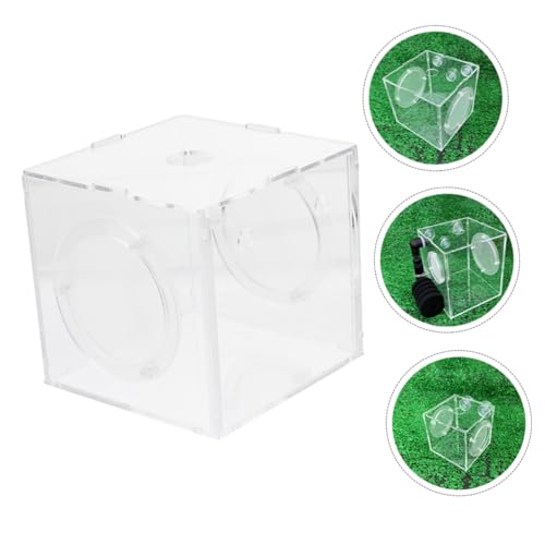 Fish Breeding Box Cups Fish Incubator for Fry Isolation Aquarium Lightweight and Easy Installation and Cleaning
