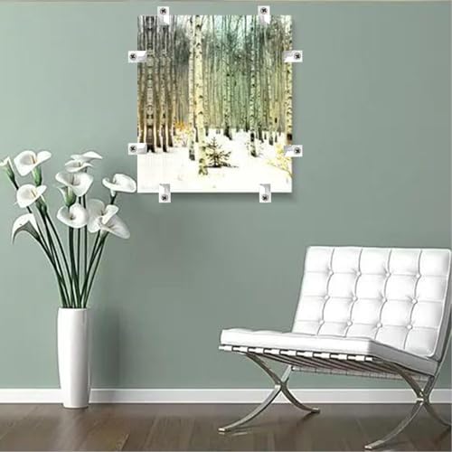30-Piece Mirror Holder Clip Glass Crystal Clear Plastic Mirror Clip Fixing Clip Kit with Screws and Mirror Hanging Kit (Silver)