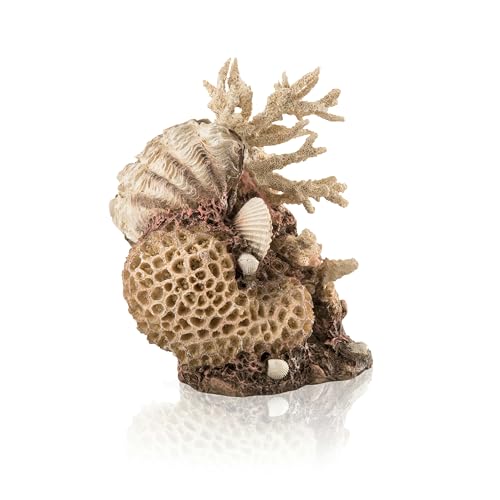 biOrb Coral Shell Ornament Natural