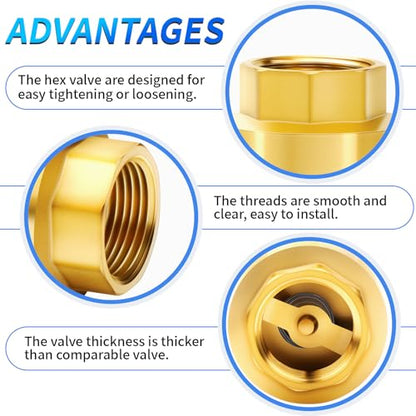 ChillWaves Brass In-Line Spring Check Valve 3/4" NPT Female Thread, One-Way Non-return Vertical Check Valve for Backflow Prevention(2-PACK) - size: 3/4" FNPT, style: PACK OF 2