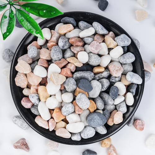 SIDONG 5 LB Natural Mixed Color Gravel Pebbles, 2/5 Inch Small Pea Gravel Stones, Decorative River Rocks for Succulents, Aquariums, Vases, Indoor Plants, Garden Landscaping, DIY - color: Mixed Jade, size: 5 Pounds