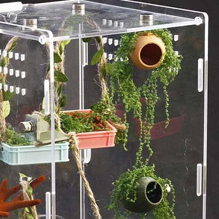 Jumping Spider Enclosure Accessories Jumping Spider Hammock 3 Pcs Set with Artificial Moss and Hemp Rope Accents Habitat Decoration Habitat Decoration Set Climbing Toy for Small Pet