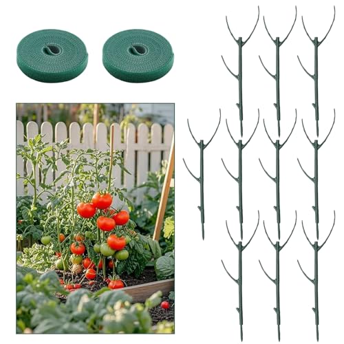 10 PCS Stackable Plant Supports, Supports Structural Plants, Tall Potted Plants, Ideal for Climbing Plants, Suitable for Indoor and Outdoor Gardening (Type 2)