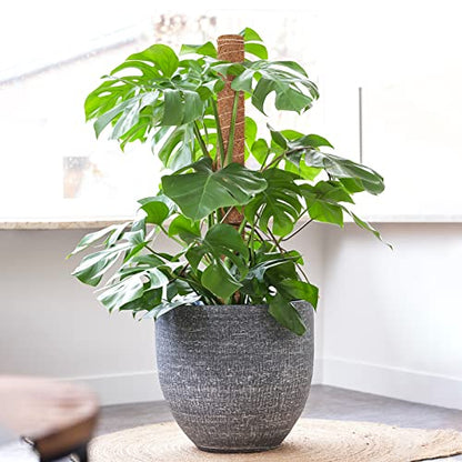 GROWNEER 24 Inch Moss Pole for Plants Indoor, 2 Pcs 15 Inch Stackable Coir Totem Monstera Support, Moss Sticks with 15pcs Labels and 78in Garden Ties, Stake for Climbing Snake Plants Indoor - size: 24 Inches