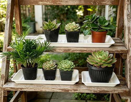 6 Pack Plastic Plant Tray Saucer Rectangular 13 Inch, Heavy Duty Planter Saucers for Indoors, Plant Water Drip Trays for Flower Pot, Windowsill Pot Tray, Growing Trays (6.5 X 13 Inch, White)