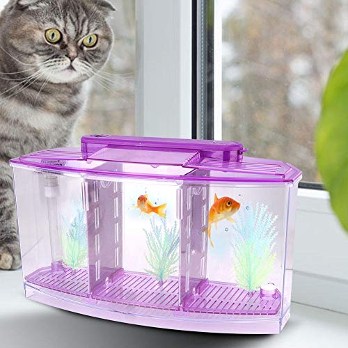 Acrylic Aquarium Isolation Box,Mini Fish Tank Breeding Hatchery Small Fishes Incubator with Three Divisions and LED Light(Purple)