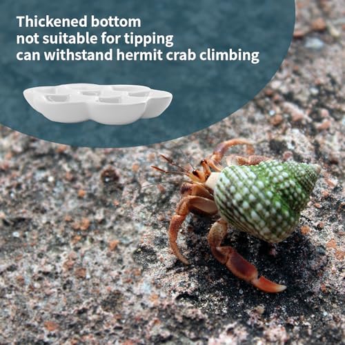 4.53" Hermit Crab Ceramic Food Dish,7 Compartments Ceramic Anti-Turning Food & Water Bowl for Hermit Crab Tarantula Snail - size: 4 inch