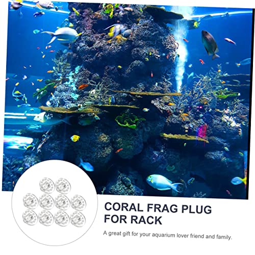 LIOOBO 2sets Acrylic Tank Base Rack for Aquarium Marine Source Decor Smooth Line 10pcs*2