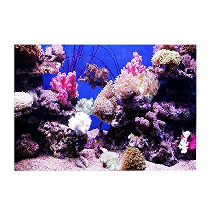 Huhushop Aquarium Background,HD Ocean Seabed Coral Wallpaper 3D Effect, Adhesive Underwater World Backdrop Wall Decoration for Fish Tank(61x41cm)