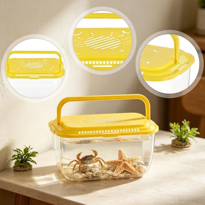 4 Pack Catch Plastic Beach Aquarium Carrier Cage with Handle, Release Aquarium Box Fish Transport Container Portable Tank for Collecting Fishes Crabs Sea Creatures for Summer Beach Party Favors