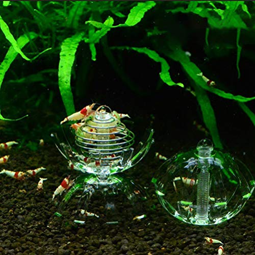 POPETPOP Shrimp Feeding Dish-2pack Shrimp Bowls Transparent Shrimp Feeder Food Acrylic Dishes Shrimp Tank Accessories for Shrimp Food