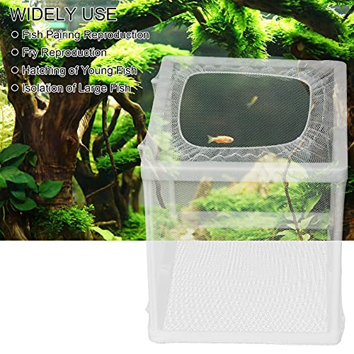 Aquarium Fish Breeder Box Isolation Box Breeder Hatchery Incubator with Suction Cup Fish Hatching Cage for Baby Fishes Shrimp Clownfish Guppy(S)