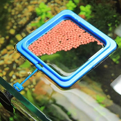 3pcs Wear Resistant Aquarium Feeder Rings Set, Floating Fish Feeding Circles with Thickened Square Round Plastic Design, Prevent Water Diffusion for Fish Tank Accessories