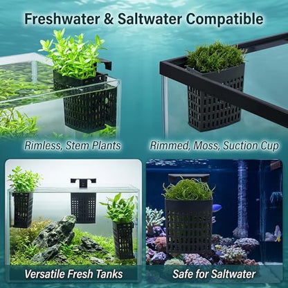 2Pcs– Aquarium Plant Holder, Fish Tank Plant Stand, 3-in-1 Mounting, Adjustable Height, Extendable Hook, with 2 Side and 4 Bottom Suction Cups (Black)