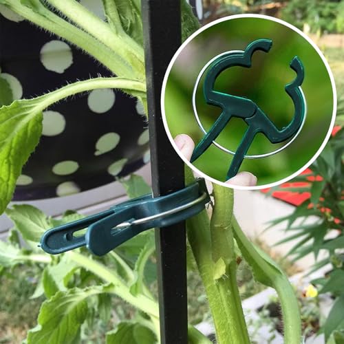 Plant Clips for Climbing Plants, Tomato Clips and Garden Clips for Vine Support, Plant Support Clips for Tomatoes and Garden use (Green, 20 small20 Big) - size: 20 Small + 20 Big