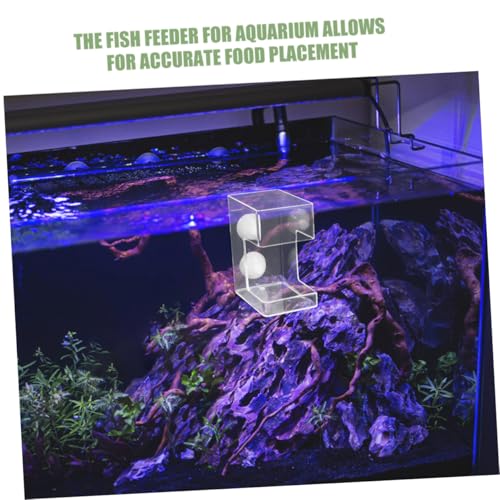 BESPORTBLE Fish Tank Feeding Tube and Food Dispenser with Suction Cup Large Square Aquarium Feeder for Precise Submerged Feeding Anti-Scattering Fish Food Holder for Shrimp and Tropical