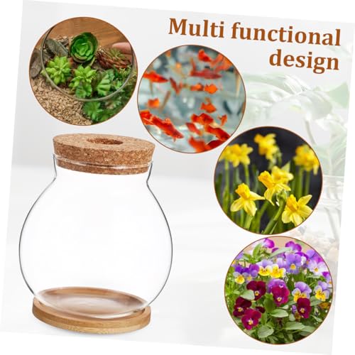 Hydroponic Glass Fish Bowl with Lid Small Desktop Aquarium 10x11cm Mini Glass Fish Tank with Mat for Office and Home Decor