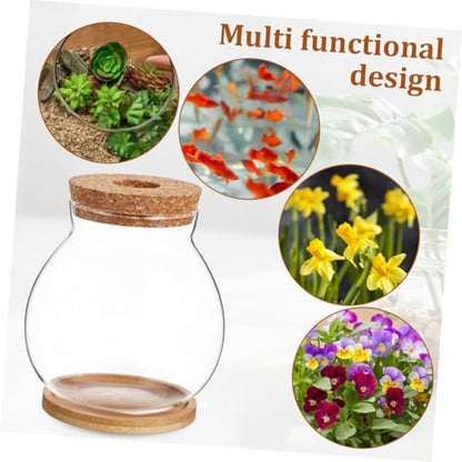 Hydroponic Glass Fish Bowl with Lid Small Desktop Aquarium 10x11cm Mini Glass Fish Tank with Mat for Office and Home Decor