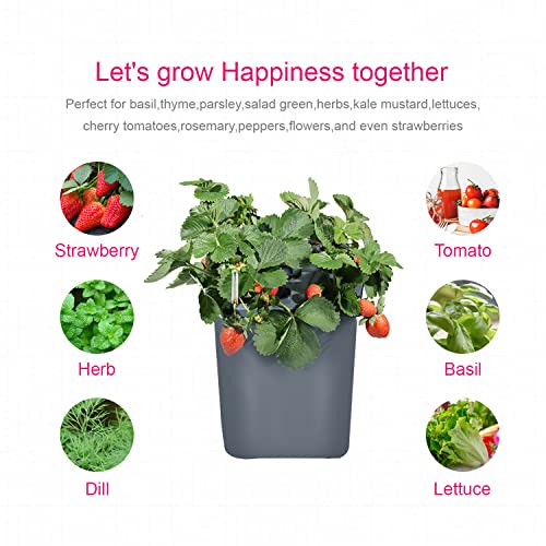 4 Hydroponic Buckets Kit for Plants, Hydroponics Growing System for Herbs/Tomato/Vegetables, DWC System with Air Pump & Germination Tray (Complete Indoor Hydroponic Gardening Supplies)