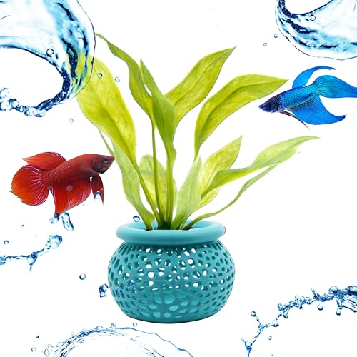 Aquarium Plant Pot Holders, Aquatic Plant Holder, Securely Hold Aquatic Plants, Promoting Healthy Root Growth, Fish Tank Aesthetic (Cyan) - color: Cyan