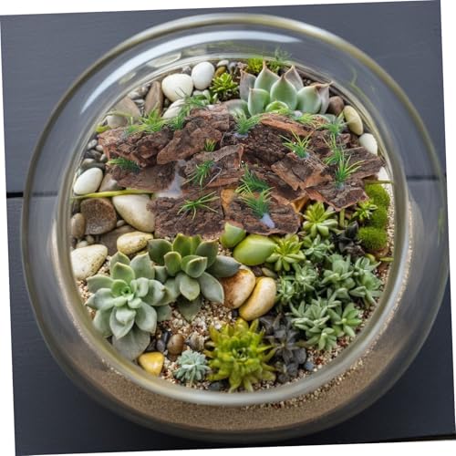 ORFOFE 20pcs Natural Cork Bark Terrarium Background for Reptile Tank Aquarium Decoration Authentic Tree Bark Reptile Hide Lightweight Climbing and Hiding Accessory for Snake Lizard