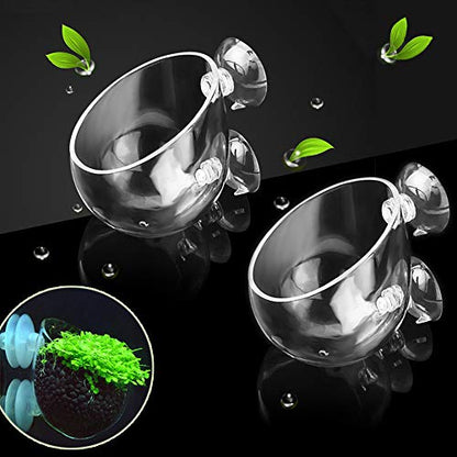2X Crystal Glass Aquatic Plant Pot, Planter, Red Shrimp Live Plants Fish Tank Holder with 4X Suction Cups for Aquarium Aquascape Decoration… - size: 2 Count (Pack of 1)
