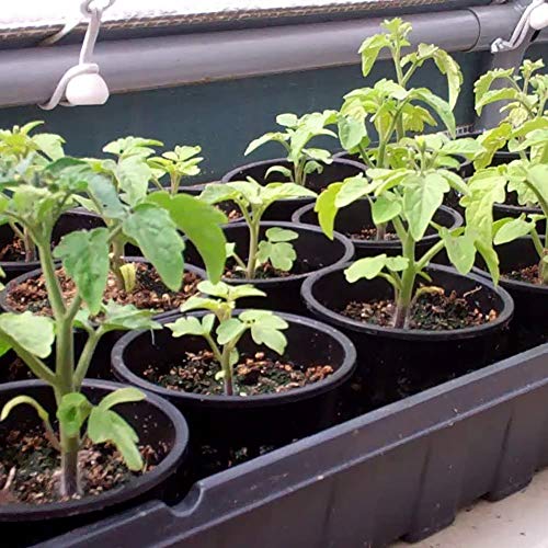 5 Inch Net Cups (12 Pack), Net Pots for Hydroponics, Orchids Mesh Baskets Pots Heavy Duty Hydroponics Supplies with Wide Lip - size: 5 Inch