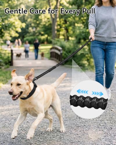 Joytale Tactical Bungee Dog Leash, Shock Absorbing No Pull, Black - color: Black