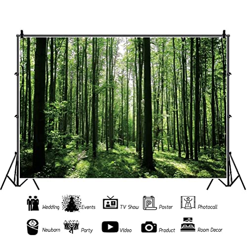 Jungle Forest Photography Backdrop 8x6ft Green Rainforest Sunlight Grassland Wonderland Nature Landscape Background for Spring Adventure Camping Hiking Theme Party Decoration Banner Photoshoot Prop - size: 8x6ft