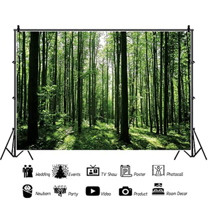 Jungle Forest Photography Backdrop 8x6ft Green Rainforest Sunlight Grassland Wonderland Nature Landscape Background for Spring Adventure Camping Hiking Theme Party Decoration Banner Photoshoot Prop - size: 8x6ft