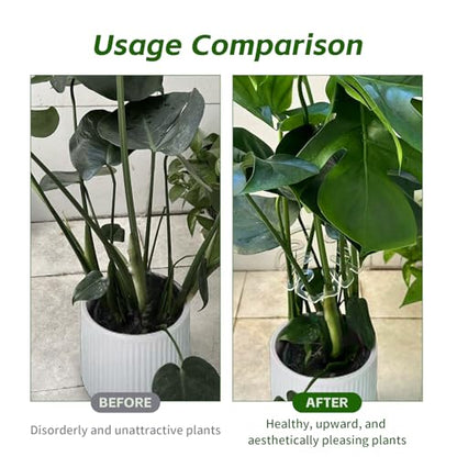 2 Pack Plant Stem Support,Plastic Monstera Plant Support, Climbing Houseplant Stem Supports, Stem Hook Growth Accessories for Plant