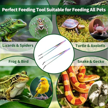 2 Pack Stainless Steel Reptile Feeding Tongs with Rubber Tip, 10.6" Straight & Curved Tweezers, for Aquarium or Craft, Planted Tank, Terrarium Tank, Feeder for Beard Dragons, Lizard and Snakes