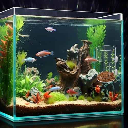 2Pcs Aquarium Fish Feeder Feeding Tray with Suction Cup, Feeding Tube Tank Divider Aquarium Breeder Box Fish Bowls Accessories Round for Turtle Shrimp Supplies Round - color: 2Pcs