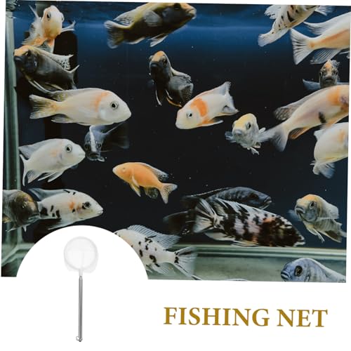 Kisangel Detachable Stainless Steel Fish Tank Net with Extendable Handle Fine Mesh for Gentle Catching and Versatile Utility for Aquariums and Fishing Activities