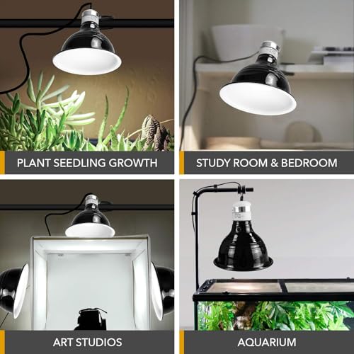 Simple Deluxe Reptile Clamp Dome Lamp, Equipped with 5.5-Inch Aluminum Reflector, Suitable for Amphibian Pet Terrariums Habitat (Without Bulb), 1 Pack, Black - size: 5.5 Inch (60 Watts), style: 1-Pack (Dome)