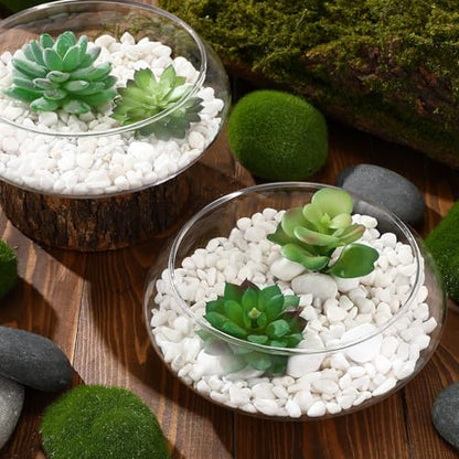 6 Pcs Hydroponic Planter Lotus Flower Pot Planter Lotus Bowl Clear Glass Fish Bowl Vase for Planting Indoor Home Decor Water Lily Narcissus Planting Water Lily (7.09in) - size: 7.09in