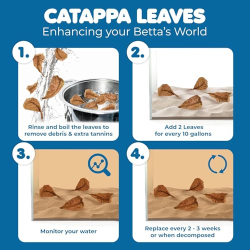 SunGrow 100 pcs Catappa Indian Almond Leaves for Betta Fish Tank Aquarium, 2” Water Conditioner Leaves, Leaf Also Suitable for Shrimp, Goldfish, Guppy and Frogs