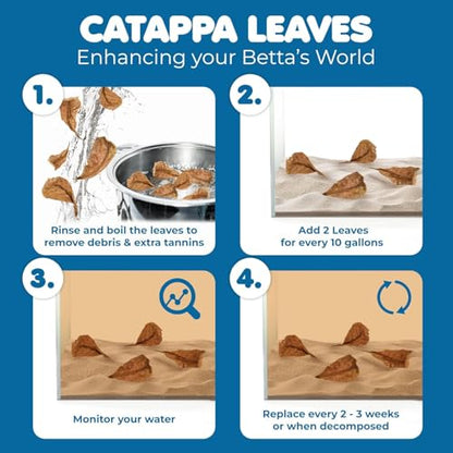SunGrow 100 pcs Catappa Indian Almond Leaves for Betta Fish Tank Aquarium, 2” Water Conditioner Leaves, Leaf Also Suitable for Shrimp, Goldfish, Guppy and Frogs