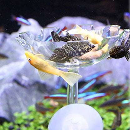 Shrimp Feeding Dish Shrimp Feed Dish, High Transparent Acrylic Material