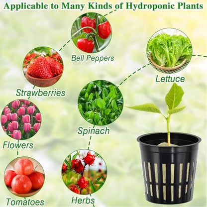 36PCS 1.2-Inch Rockwool Cubes with 30PCS 2-Inch Net Cups for Hydroponics Great Hydroponic Kit for Cuttings Clone Plant Propagation Seed Starting & Soilless Cultivation