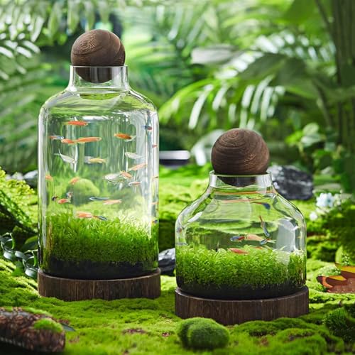 Glass Aquarium with Wooden Base, Microecosphere Fish Tank, Transparent Bottle-Shaped Batta Fish Bowel, Micro-Landscape Ecological Aquarium, Modern Glass Goldfish Tank,S - color: S