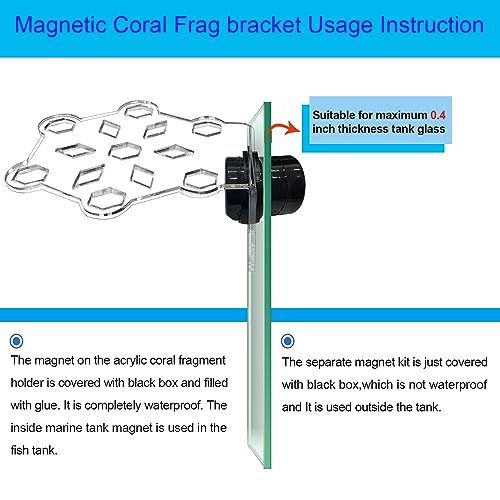 Aquarium Choice Coral Plug Holder - Magnetic Coral Frag Rack (7 Frag Plugs)