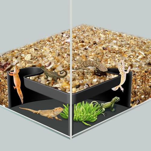 Aquarium Cave Hideout with Viewing Window – Corner Fish Tank Tunnel for Pleco, Cory Catfish, Kuhli Loach, Shrimp & Betta – 2 Hole Plastic Breeding Shelter for Bottom Dwellers (6"x6"x2.5") - color: Two Hole Corner Cave Black Large