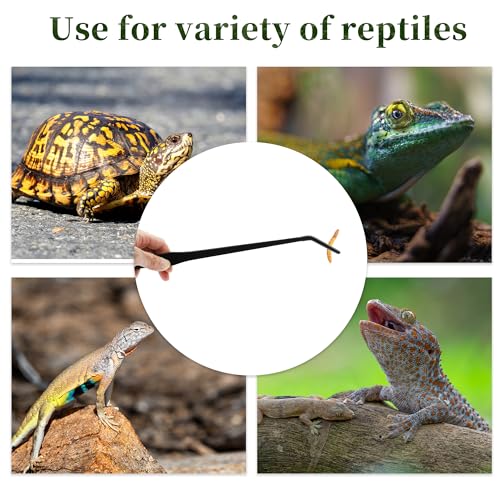 Reptile Feeding Tongs, Stainless Steel Lizard Feeding Tongs, Aquarium Curved Feeding Tweezers for Reptiles with Rubber Tip, Terrarium Feeding Tongs for Gecko, 14.96" Length, Black