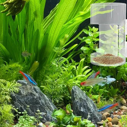 Clear Fish Tank Feeding Tray with Suction Cup Feeding Tube Aquarium Divider Supplies Breeder Box for Food Tanks Bowls(Round)