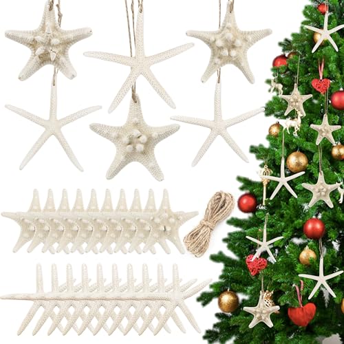 20 PCS Hanging Starfish, Mixed Starfish 2" to 3" and 3" to 4" Natural Seashells Starfish White Knobby Starfish Ornaments for Wedding Beach Theme Party Home Decorations, DIY Crafts, Fish Tank - color: 20
